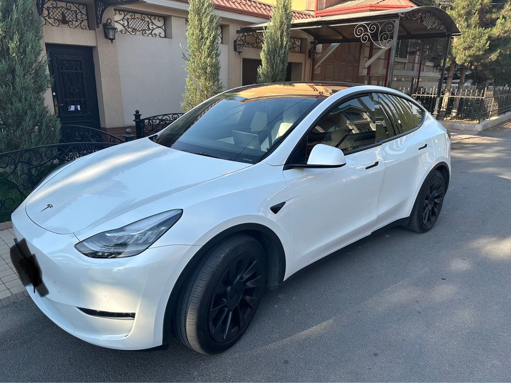 Tesla modul Y performance america