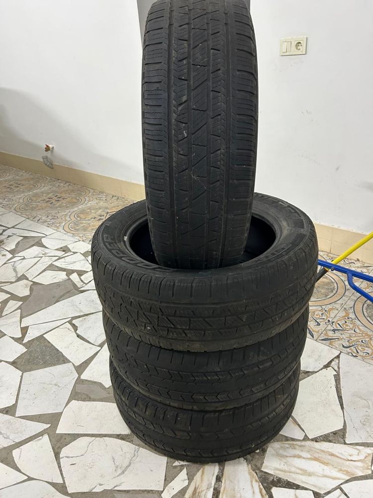 автошина