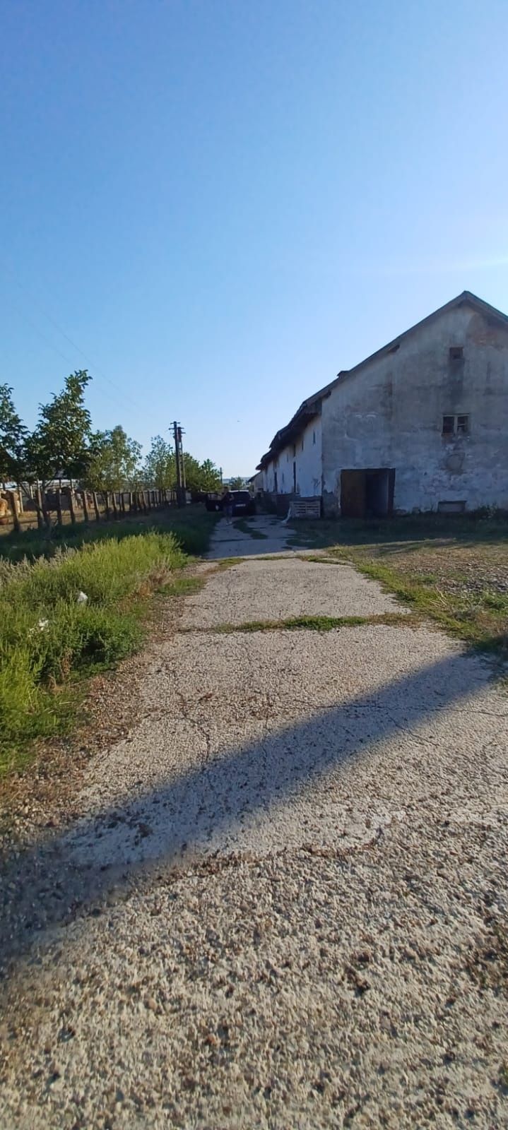 Hala de închiriat Suceava