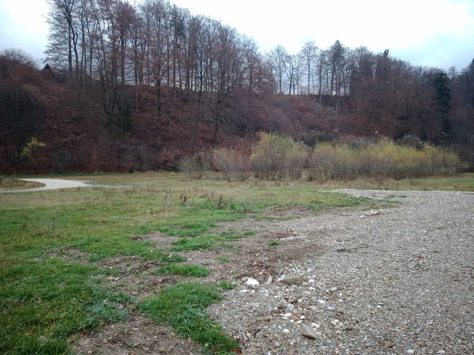 Teren intravilan Dambul Morii / Bunloc / Timisul de Jos