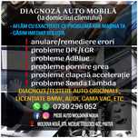 Servicii Profesionale