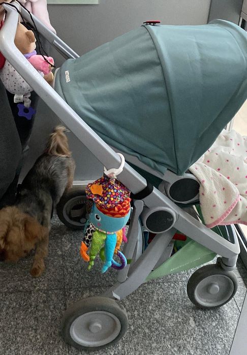 Carucior Greentom 3 in 1