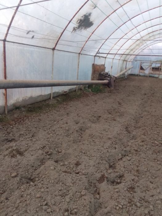 Otsenkoviy turba sotiladi