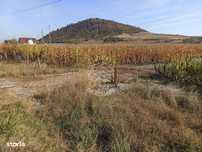 Parcele intre 770 mp si 4650 mp-ideal investitie-Sarata