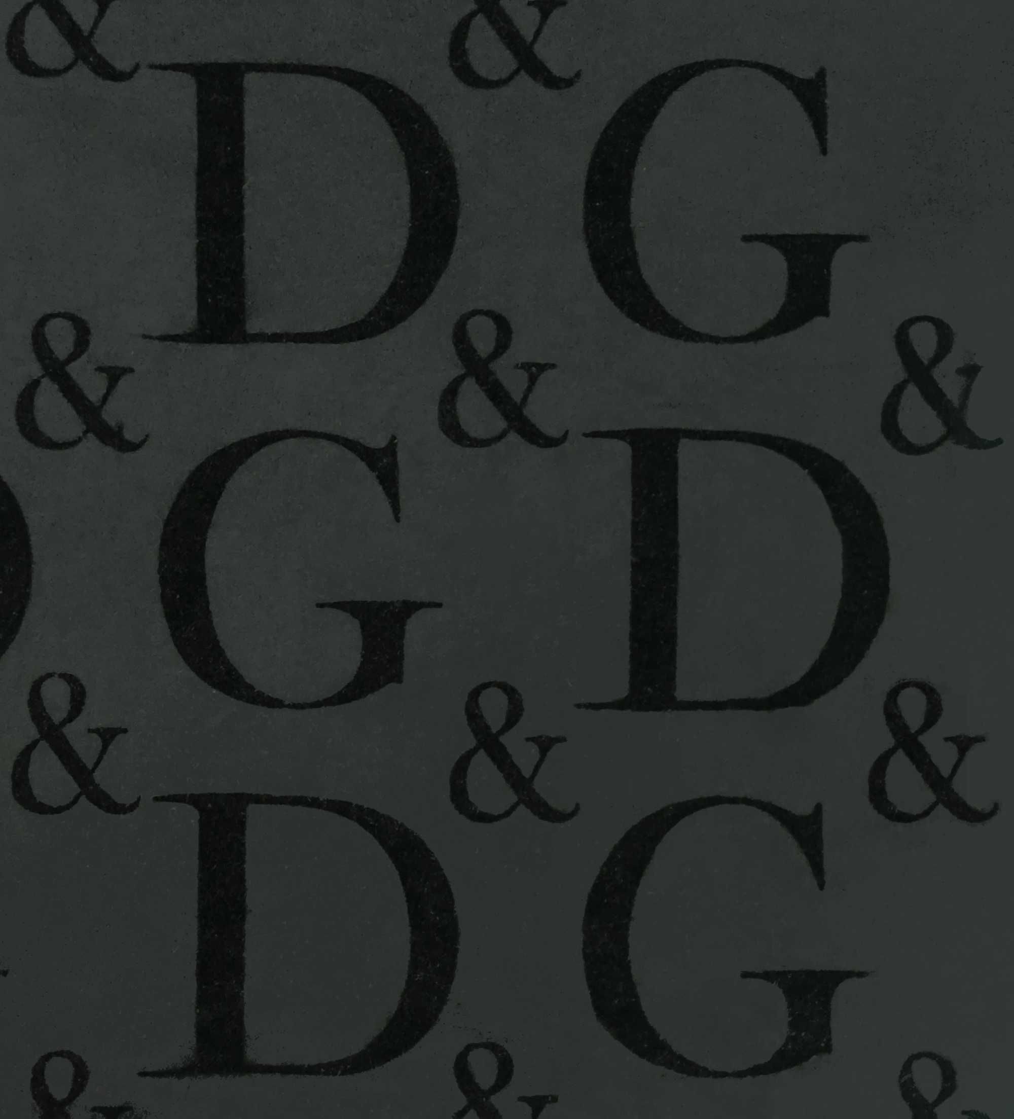 Tricou Dolce Gabanna  - Multilogo