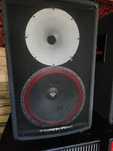 Cerwin vega 15 inch