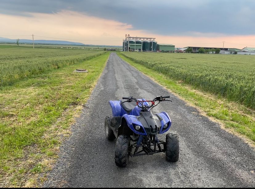 Vând ATV de 125cc in stare foarte buna nu are nici o problema