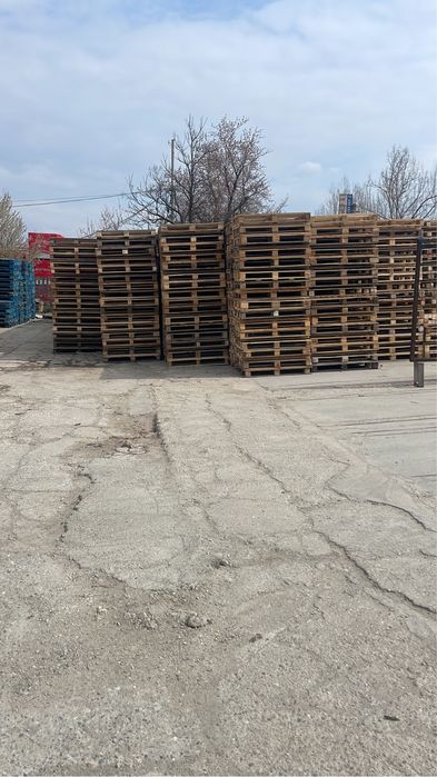 Palet Paleti TipEuro 800x1200