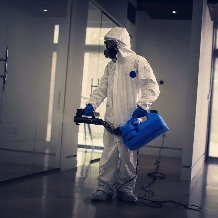 Дезинфекция избавим от муравьёв тараканов клопов чешуйниц мышей крыс