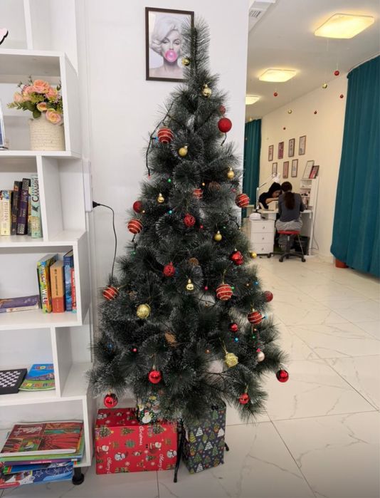 Продам елки разных размеров и форм,есть доставка