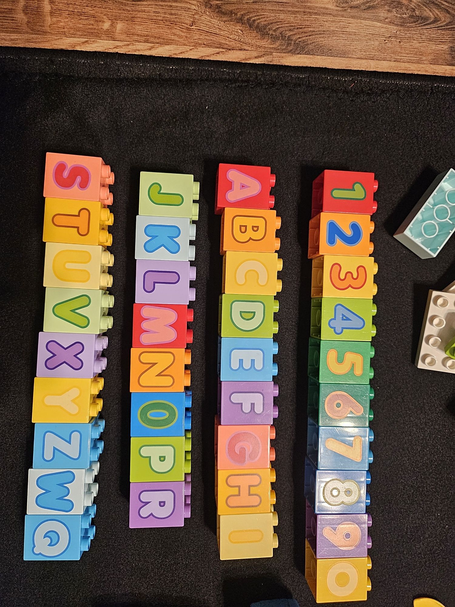 Lego Duplo      .