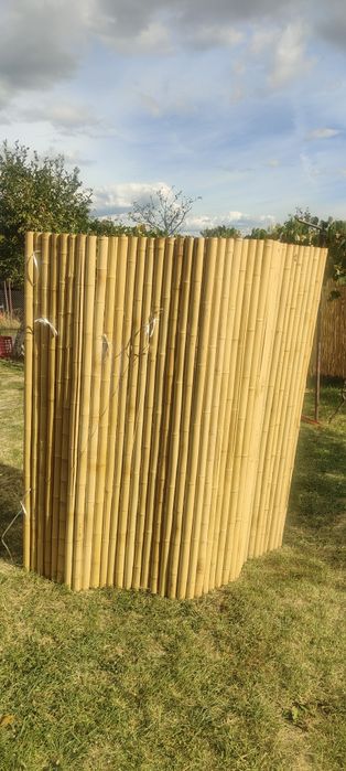 Vând bambus pentru decor, 180x180