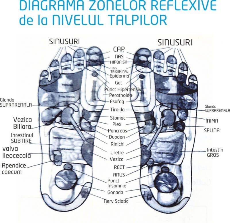 Dispozitiv masaj picioare