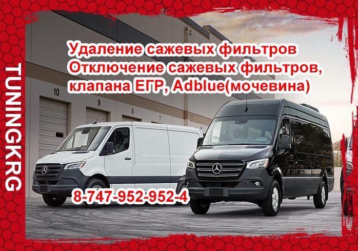 Программное удлаение DPF (сажевый фильт), EGR, SCR(Мочевина-Adblue)