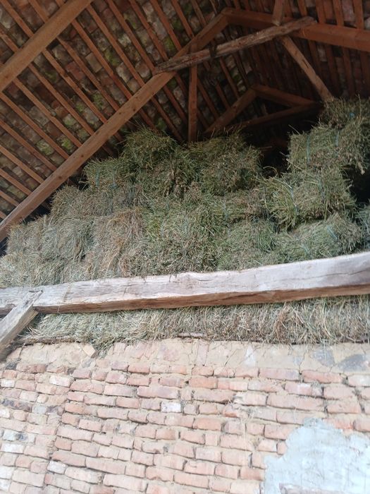 Baloti  de fan și otava si lucerna  1300 Baloti