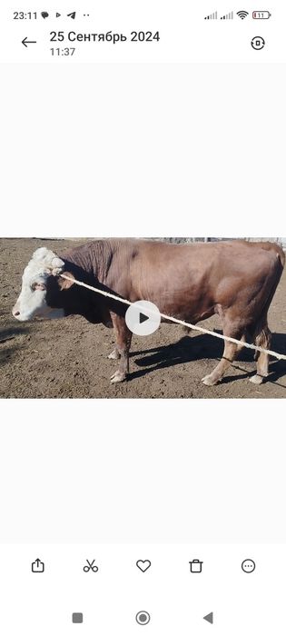 Куан ерназ Мураткалиулы
