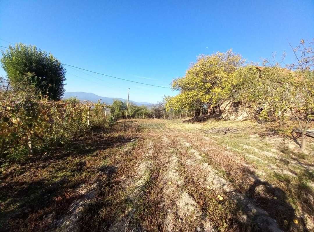 Продава парцел в с. Шипочано.