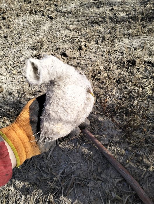 8в707в756в73в02. Ватсап