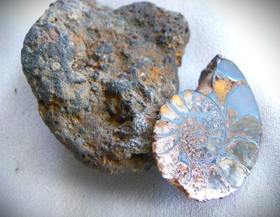 Метеорит и амонит от Мароко