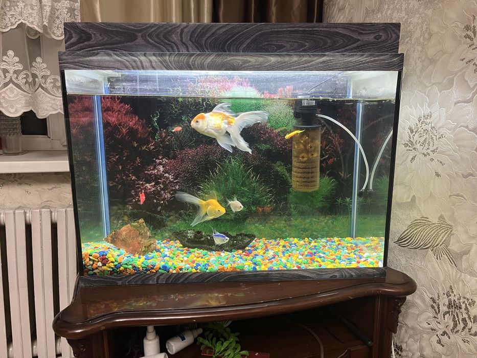 Аквариум в отличном состоянии