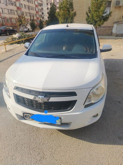 Кобилт сотилади 2 пазитсия