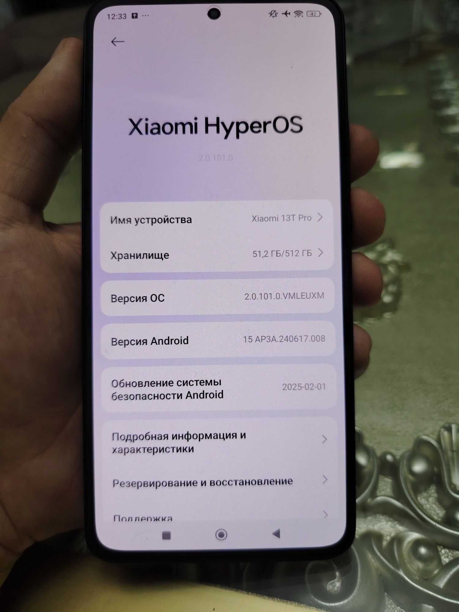 Xiomi 13T Pro 12/512