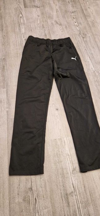 Trening puma dama