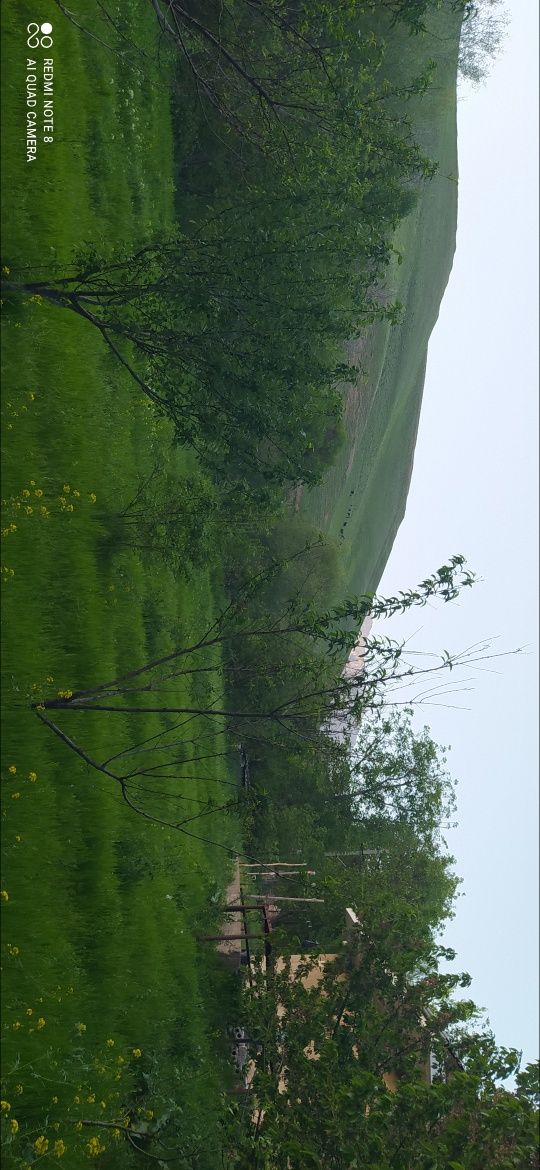 Ок тош Чимбойликда дачабоб жой