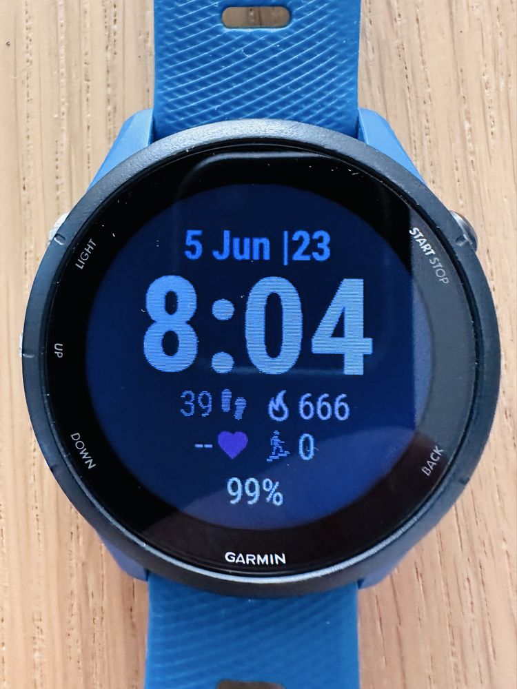 Garmin Forerunner 255 Tidal Blue