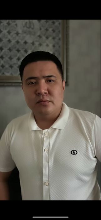Зангер,Медиатор,Юрист