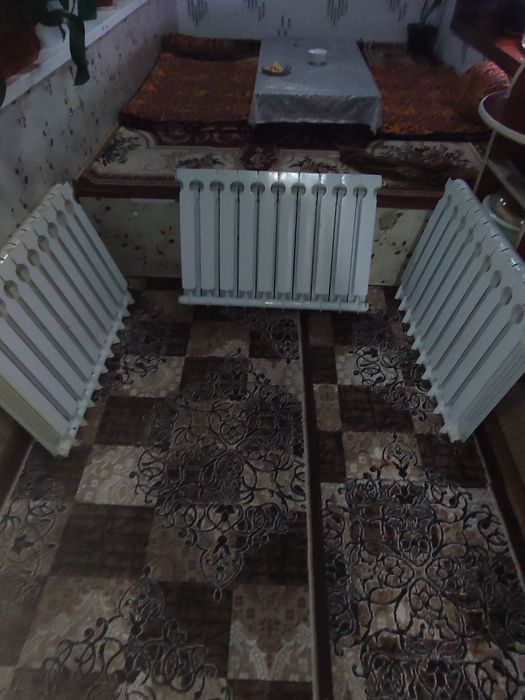 Atapleniya sotiladi 3 dona 10 talik holati yaxshi