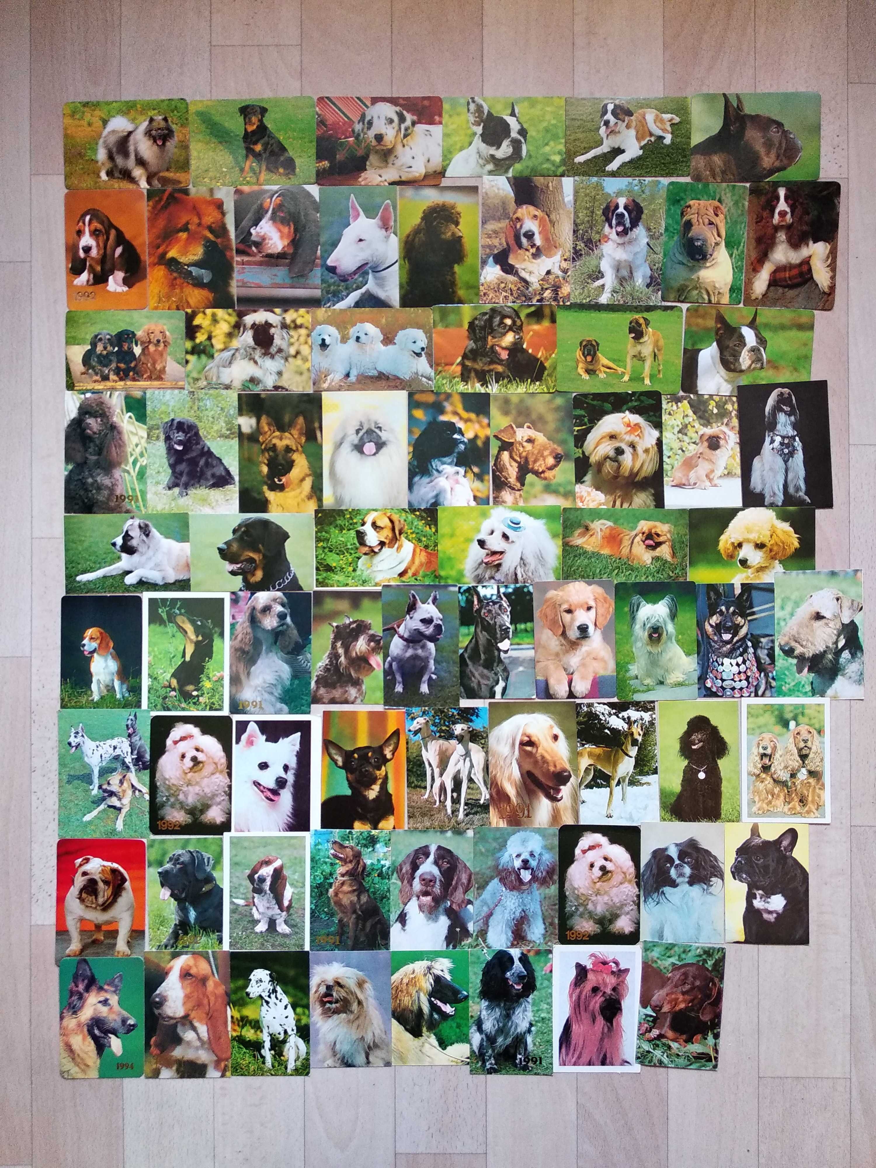 Календарики из серии "Собаки"