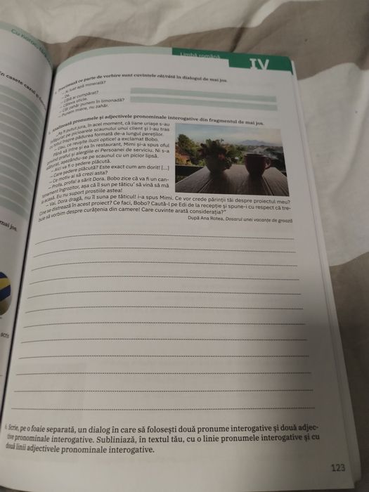 Limba și literatura română – Caietul elevului, Clasa a VII-a