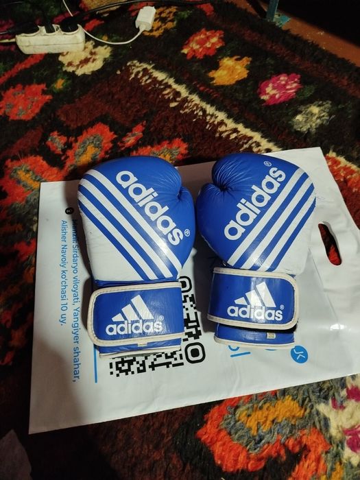 Boks perchaka german