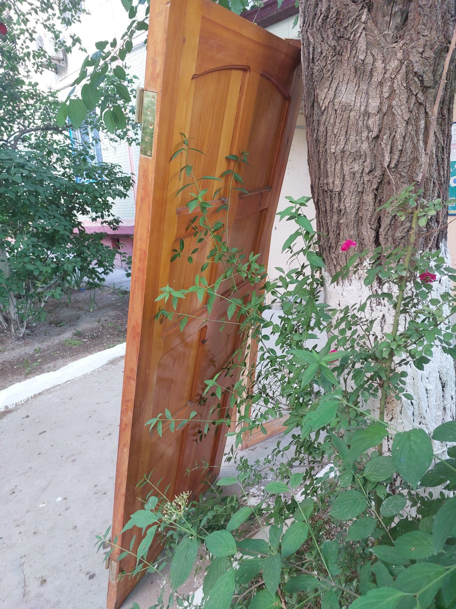Деревяный двери лак