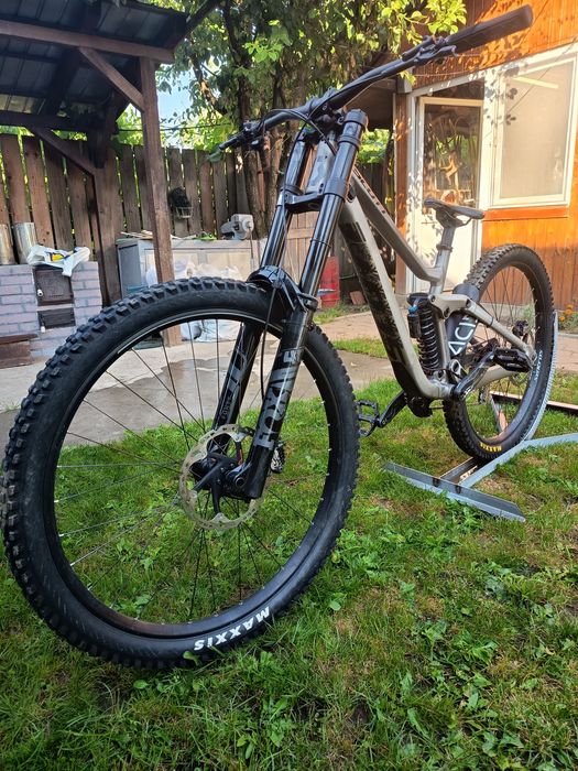 Schott gambler dowhil