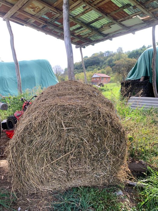 Vând baloți  120/120