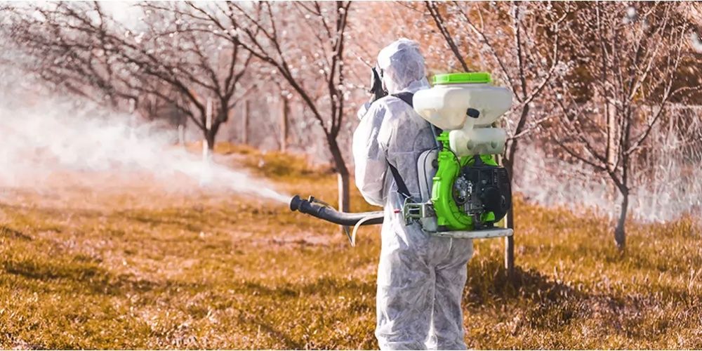 Садовника, Богбон хизмати, обрезка - стрижка деревьев, уход - уборка .