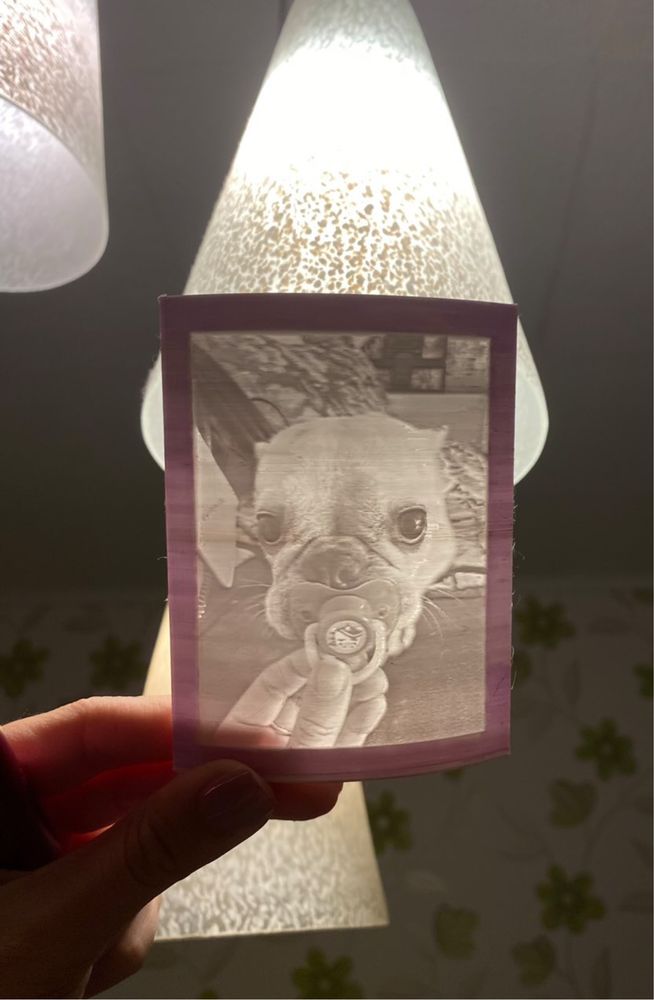 3D Картина, Която Оживява на Светлина!