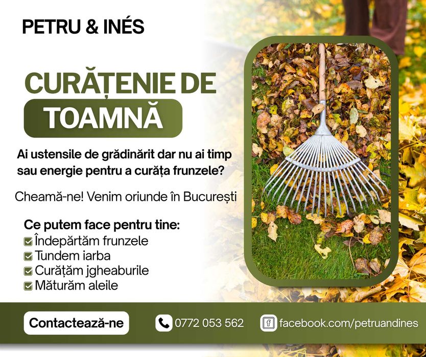 Curățenie profesională – locuințe, birouri, spații comerciale