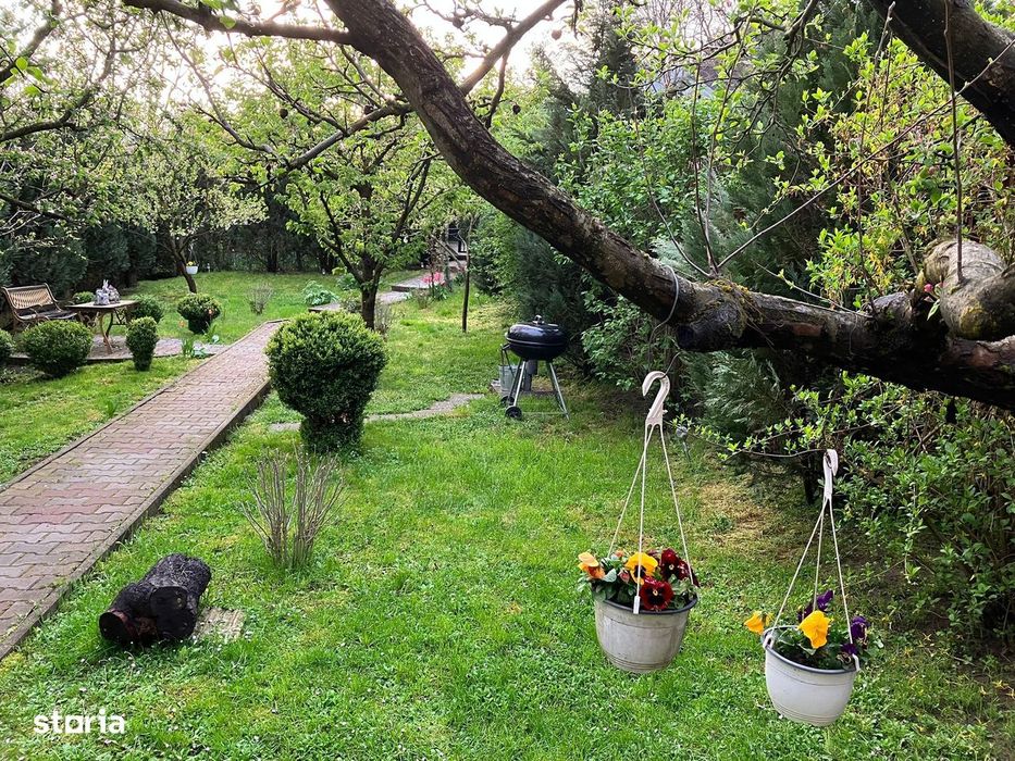 Teren + cabana, spre vanzare,/ inchiriere in zona Tudor