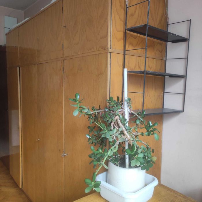 Продавам запазен гардероб с 4 крила и надстройка, чист и поддържан.