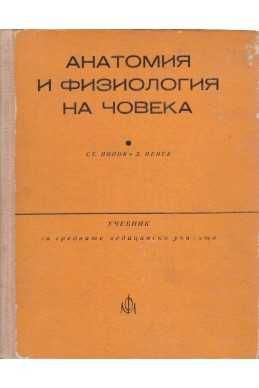ОЧНИ болести за мед.сестри, Физиология.  Анатомия