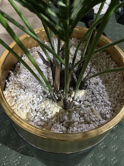 иссккственные цветы