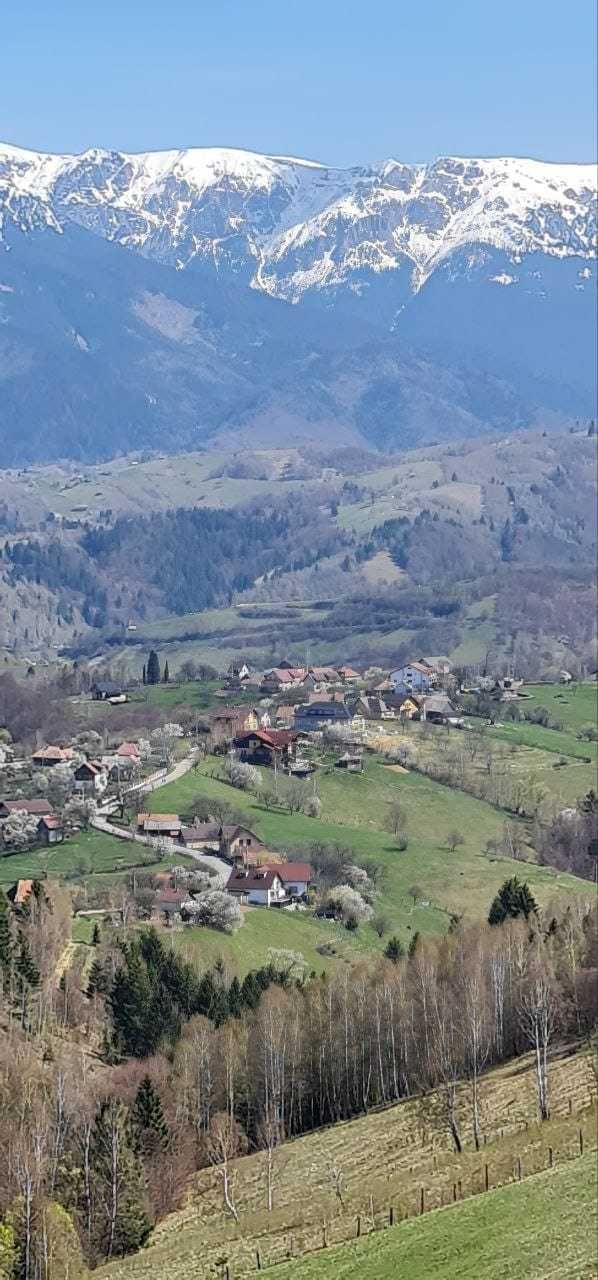 Teren la munte, la Peștera lângă Bran.