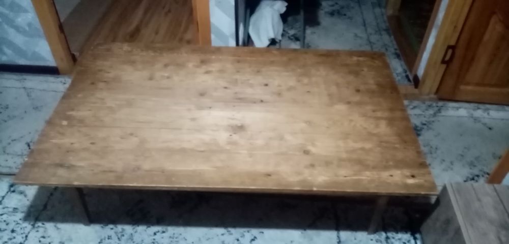 Хонтахта тозза ёгочдан