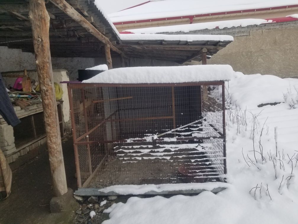 Kafolati bilan sotiladi