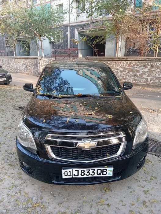 Kobolt sotiladi yili 2022