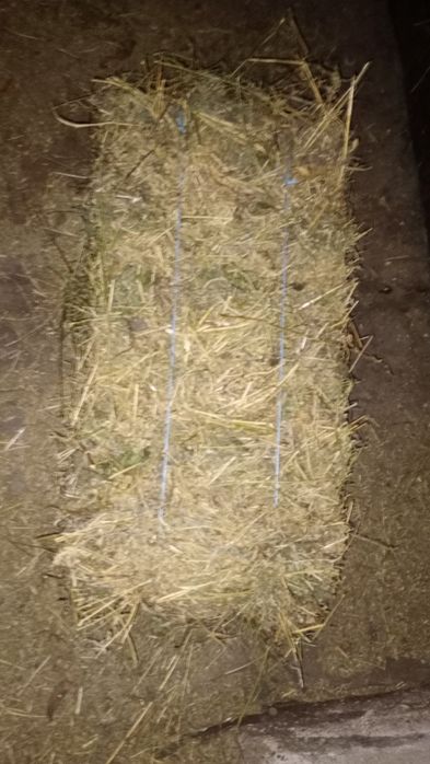 Baloți de lucernă