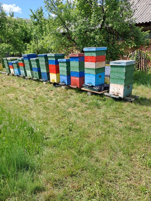 Miere de salcâm/păducel/mană